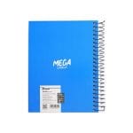 Mega12_1